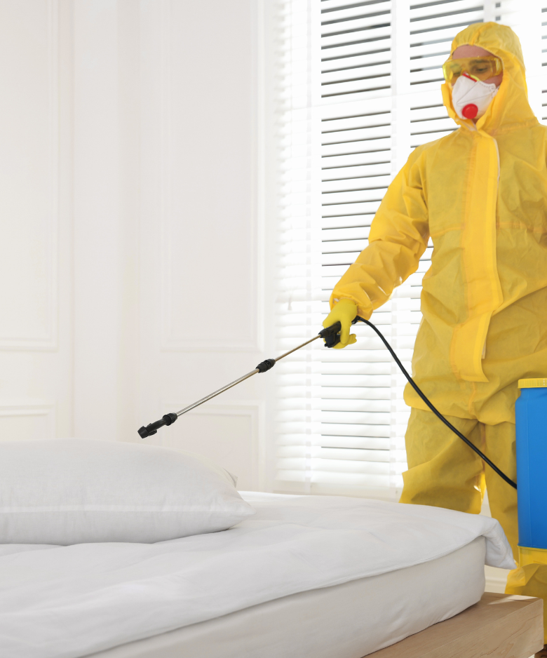 Professional Pest Control Team in Elizabeth